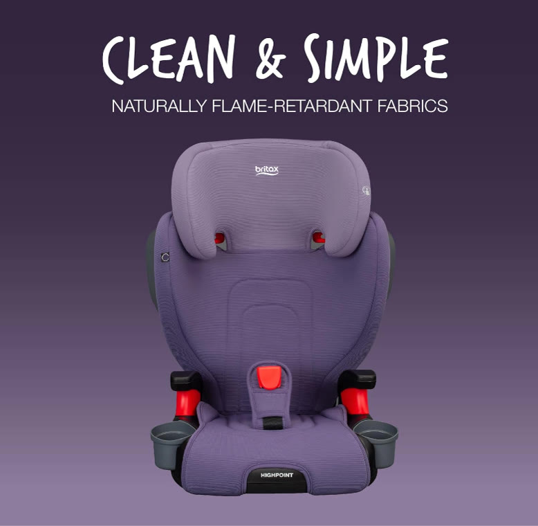 Graco Booster Car Seat