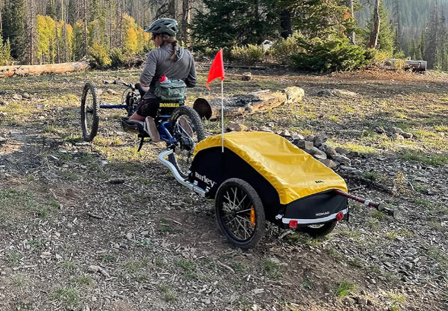 burley bee bike trailer